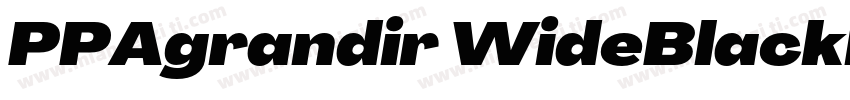 PPAgrandir WideBlackltalic 黑斜体字体转换